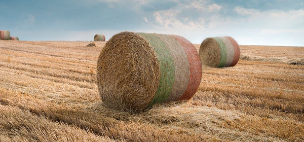 Stretch folie a síťoviny na balení kulatých balíků sena, slámy a siláže