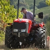 Malotraktor Antonio Carraro TC F MAJOR