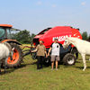 Baler Mascar Monster at the stud of family Dobrovsky