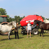 Baler Mascar Monster at the stud of family Dobrovsky