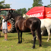 Baler Mascar Monster at the stud of family Dobrovsky